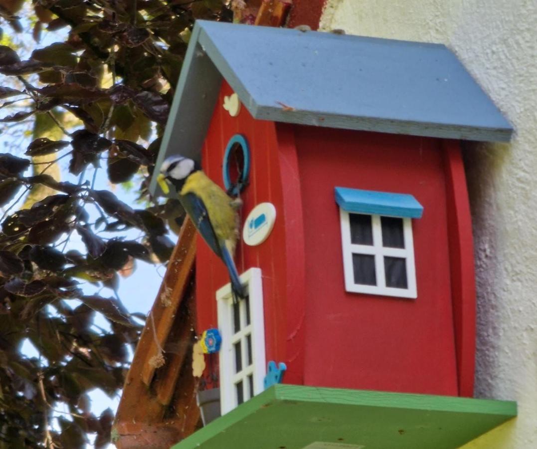 Vakantiewoning 'T Bakhuus Bergentheim Buitenkant foto
