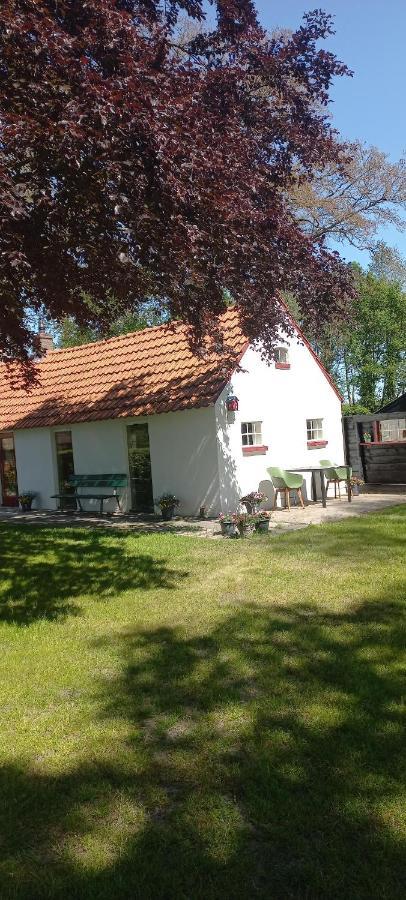Vakantiewoning 'T Bakhuus Bergentheim Buitenkant foto