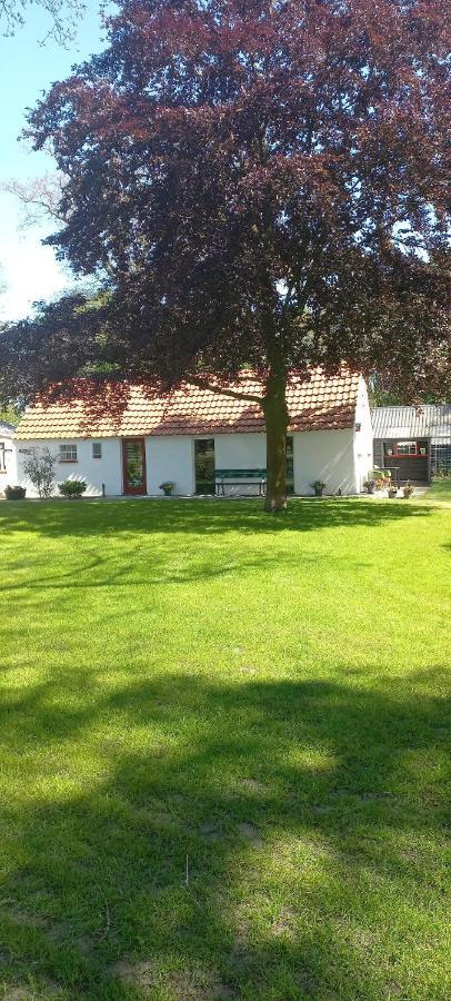 Vakantiewoning 'T Bakhuus Bergentheim Buitenkant foto